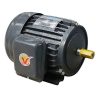 Motor JET vỏ gang 1.5kW (2HP) 220V 1450RPM (5080010)