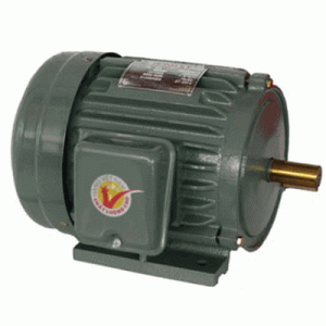 Motor vỏ gang chân đế Hồng Ký HKM112