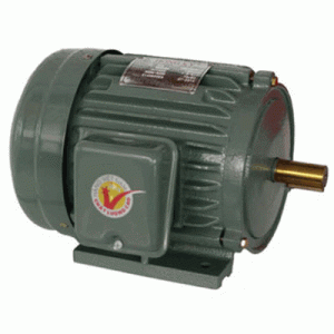 Motor vỏ gang chân đế Hồng Ký HKM312