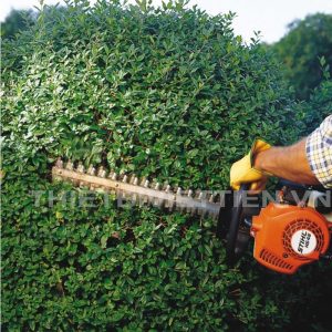 Máy cắt tỉa hàng rào Stihl HS45